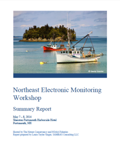 NEMW Report Cover